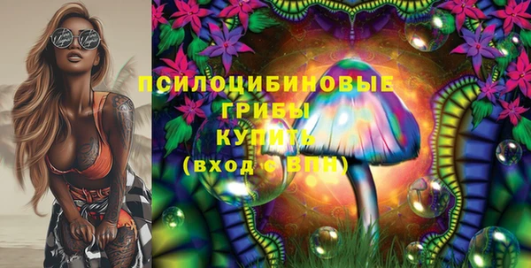 хмурый Вязьма