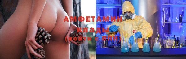 стаф Вяземский