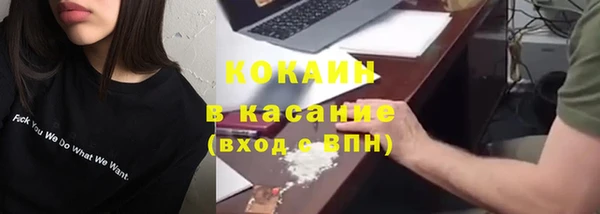 стаф Вяземский