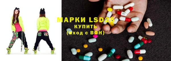 стаф Вяземский