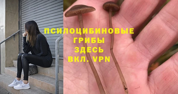 а пвп мука Лихославль