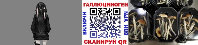 наркошоп  Можга  Галлюциногенные грибы MAGIC MUSHROOMS 