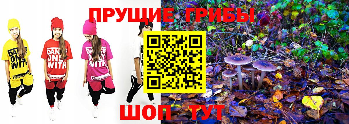 Можга  Псилоцибиновые грибы мухоморы  Вход с VPN 