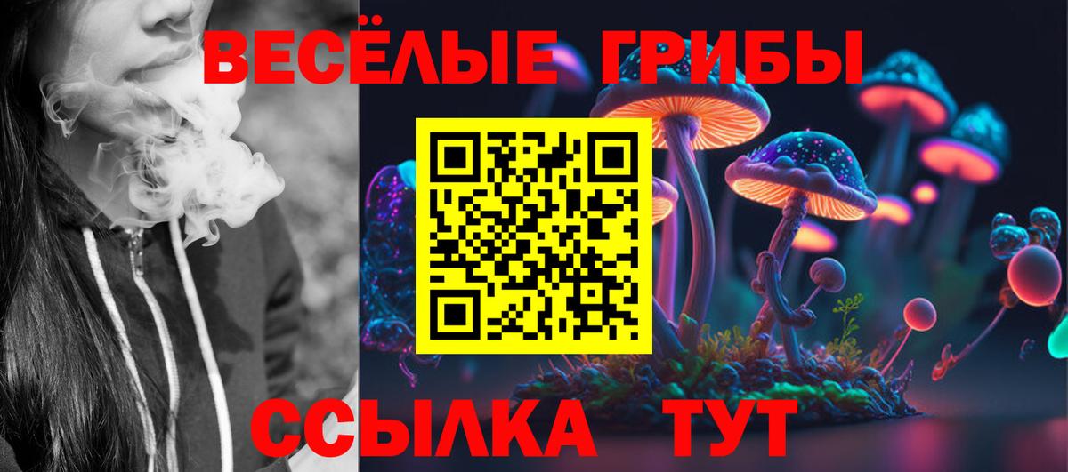 Псилоцибиновые грибы MAGIC MUSHROOMS  закладки  Псилоцибиновые грибы мухоморы  Можга 
